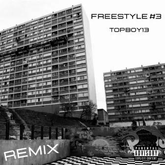 Freestyle #3 (Remix) by TOPBOY13