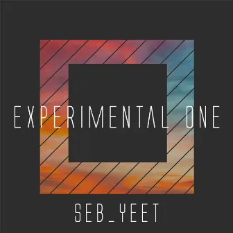 Experimental One by Seb