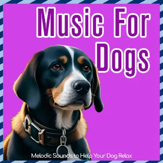 Music for Dogs - Melodic Sounds to Help Your Dog Relax by Dog Music Therapy