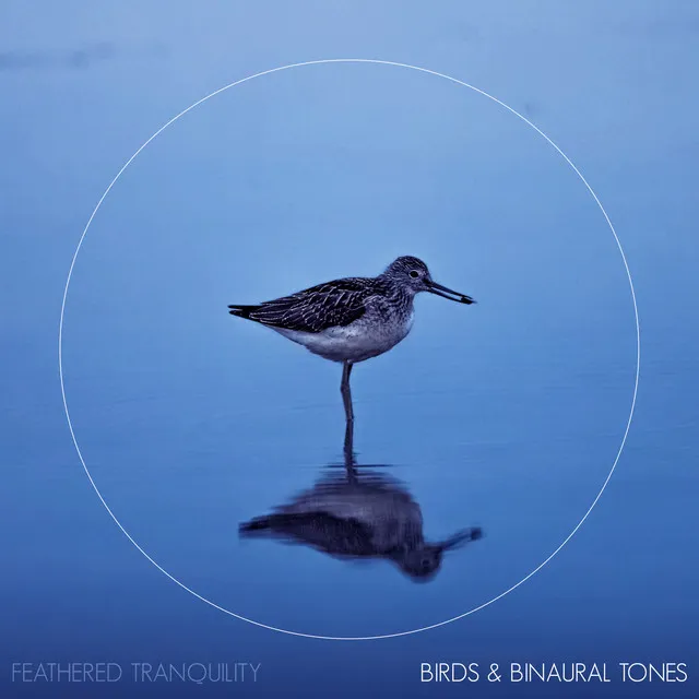 Birds And Binaural Tones