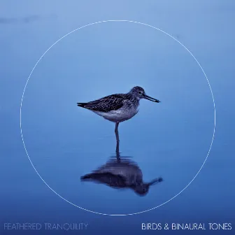 Birds And Binaural Tones by Feathered Tranquility