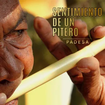 SENTIMIENTO DE UN PITERO by PADESA