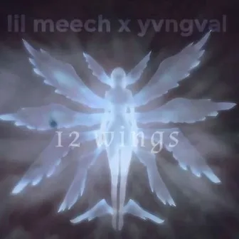 12 wings by YVNGVAL