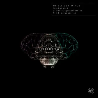 Intelligent Minds by Stereo View