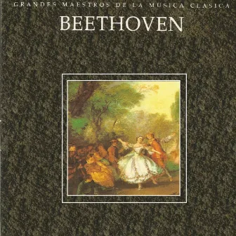 Grandes Maestros de la Musica Clasica - Beethoven by European Festival Orchestra