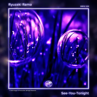 See You Tonight by Ryuzaki Rama