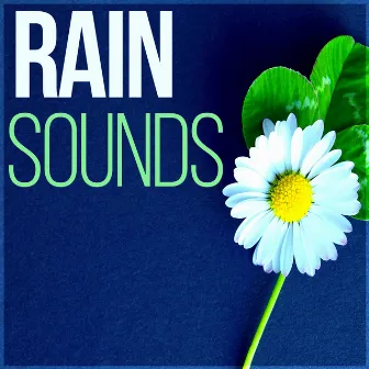 Rain Sounds - Calm Relaxing Nature Sounds, Water Sound, Massage, Tai Chi, Meditation, Sleep, Serenity Music to Reduce Anxiety and Sadness, Nature Rain, Summer Rain by Nature Sounds Universe