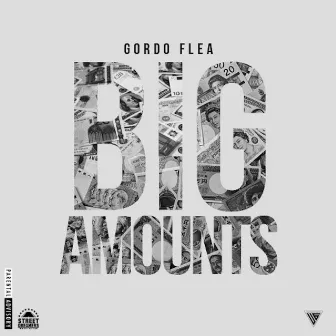 Big Amounts by Gordo Flea