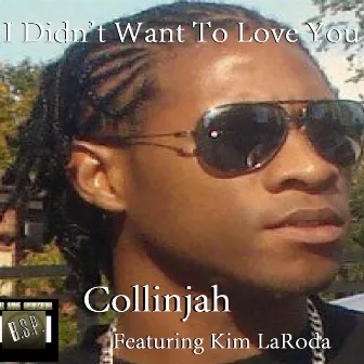 I Didn't Want To Love You by Collinjah