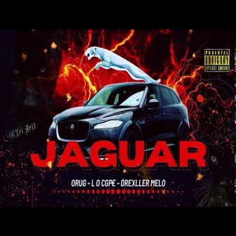 Jaguar by Orug