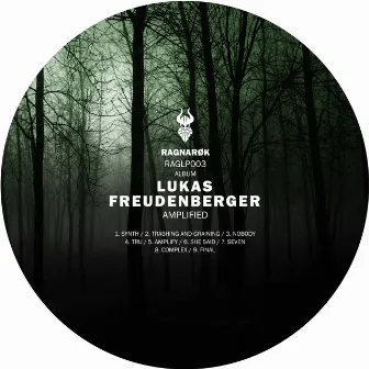 Amplified by Lukas Freudenberger