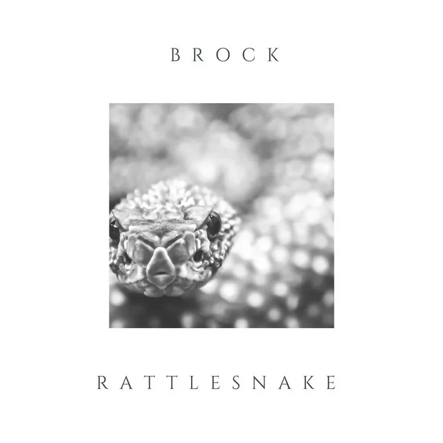 Rattlesnake