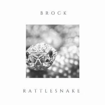 Rattlesnake by Brock