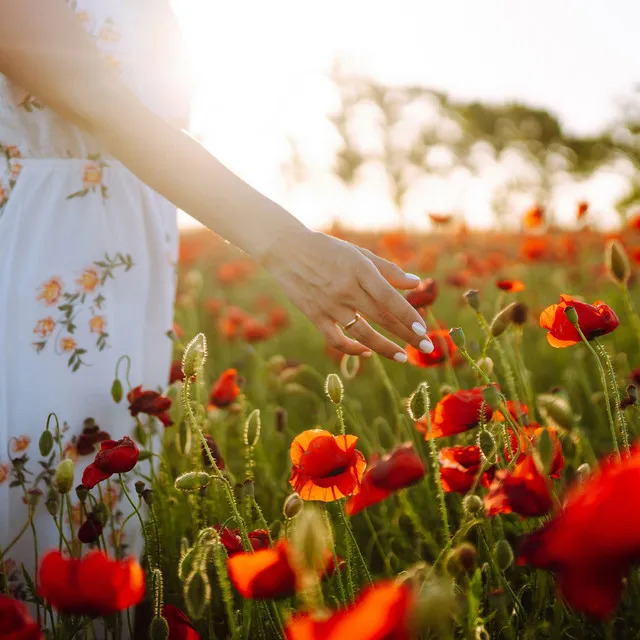 Nature's Melodic Poetry: Serenity Among Blossoming Flowers