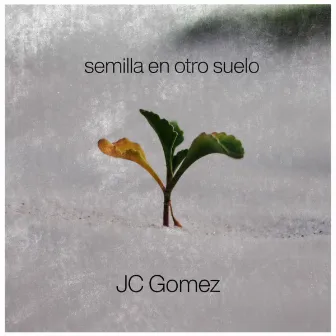 Semilla En Otro Suelo by JC Gomez