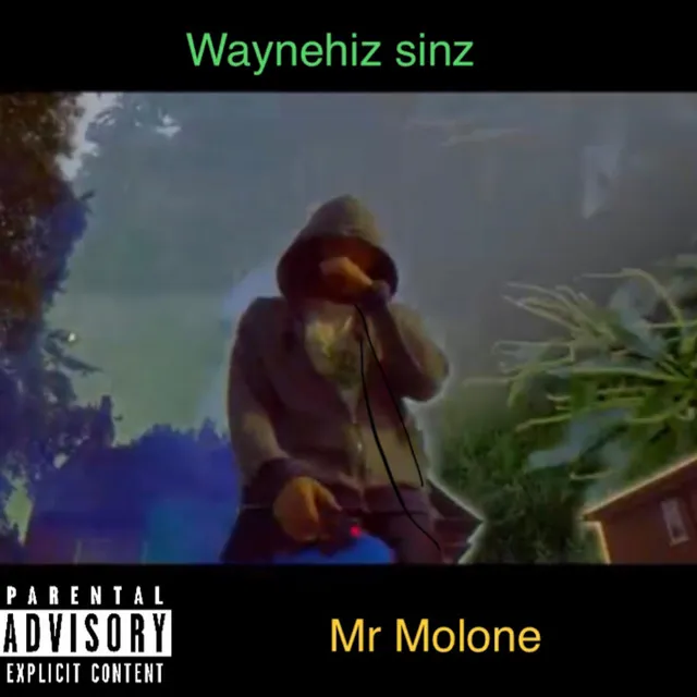 Waynehiz Sinz