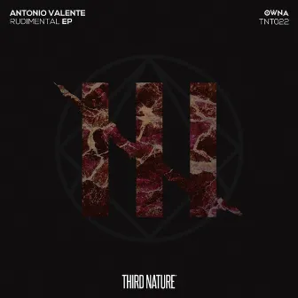 Rudimental EP by Antonio Valente