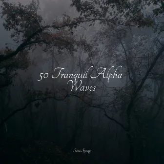 50 Tranquil Alpha Waves by Natural Rain Sounds for Sleeping