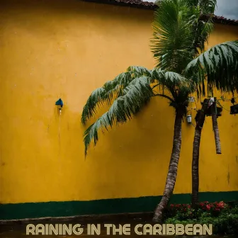 Raining In The Caribbean by Rain King