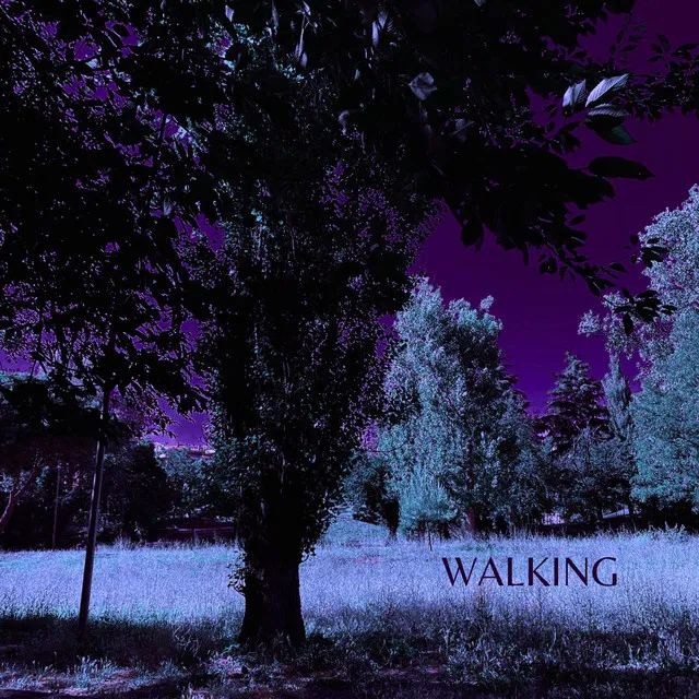 Walking