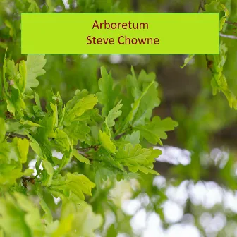 Arboretum by Steve Chowne