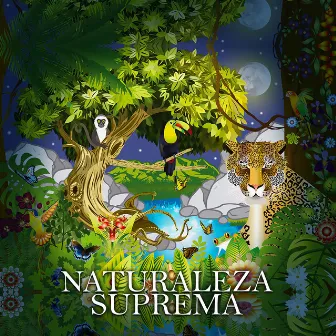 Intro by Naturaleza Suprema