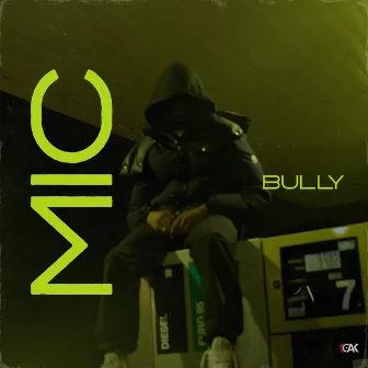 Mic by Bully