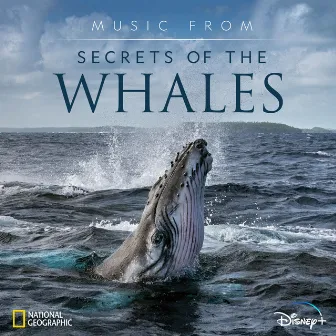 Music from Secrets of the Whales (Original Soundtrack) by Raphaelle Thibaut