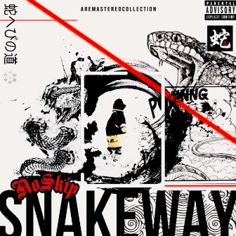 SnakeWay: A Remastered Collection by NoSkip