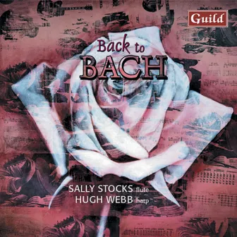 Johann Bach: Sonata No. 2 & Sonata in G Minor & Sonata in E Major - Carl Philipp Bach: Sonata in E Major - Johann Christoph Bach: Sonata in D Major by Hugh Webb