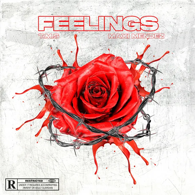 Feelings