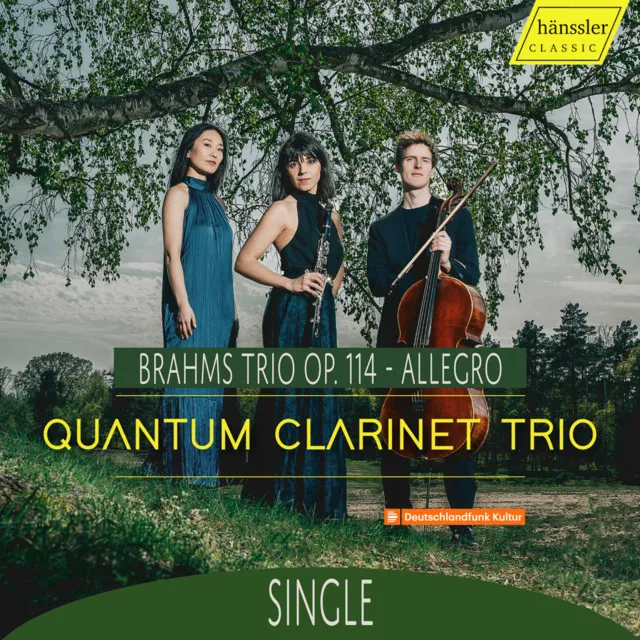 Trio, Op. 114: I Allegro