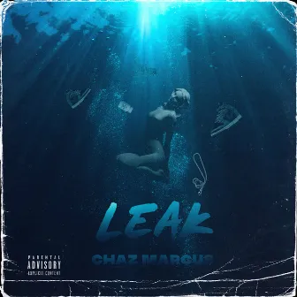 Leak by Chaz Marcus