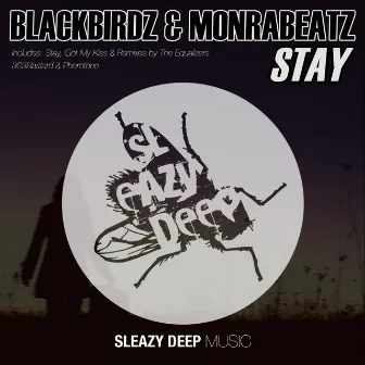 Stay by Black Birdz