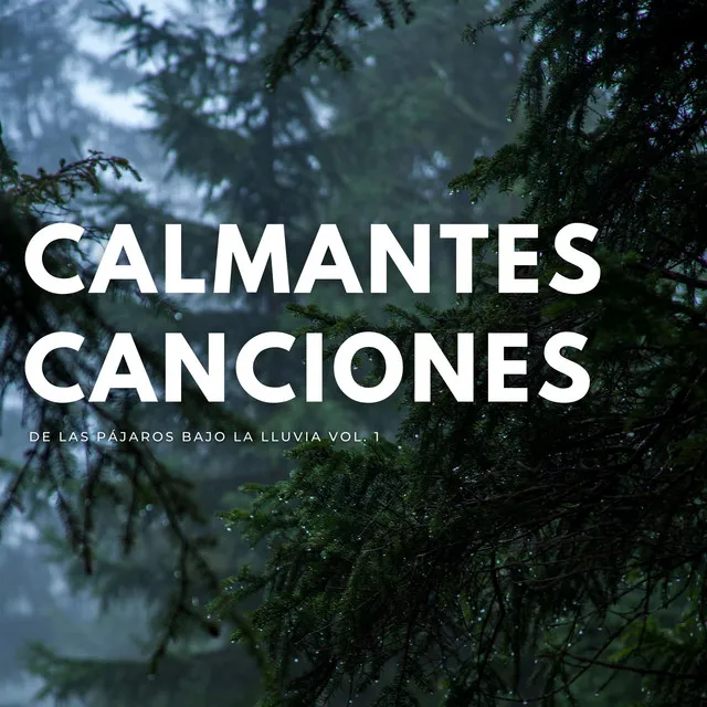 Calmantes Canciones De Las Pájaros Bajo La Lluvia Vol. 1