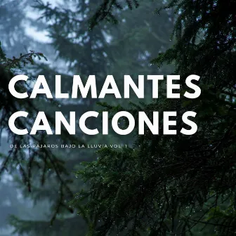 Calmantes Canciones De Las Pájaros Bajo La Lluvia Vol. 1 by Sonidos de lluvia agradables y ruidosos