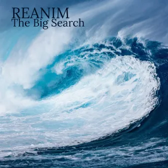 The Big Search by REANIM