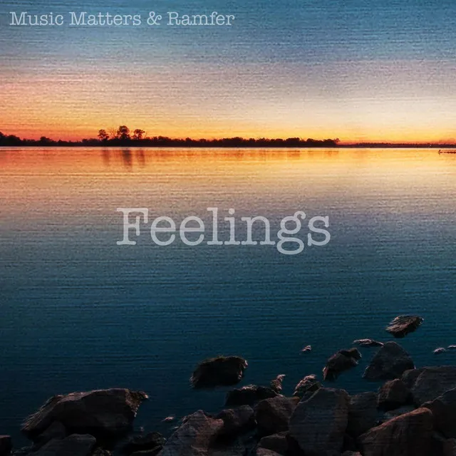 Feelings (feat. Ramfer) [Radio]