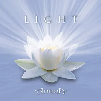 Light by Anima