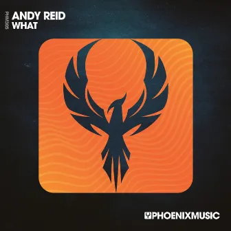 What by Andy Reid