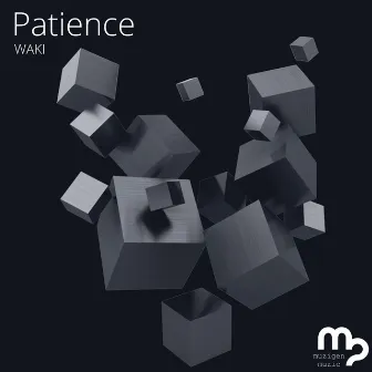 Patience by Waki