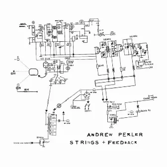 Strings + Feedback by Andrew Pekler