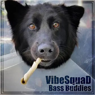 Bass Buddies by VibeSquaD