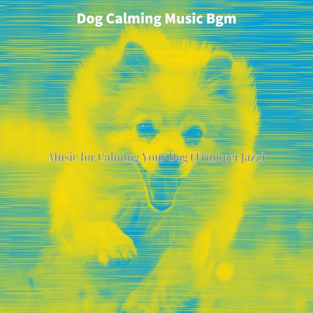 Music for Calming Your Dog (Trumpet Jazz)