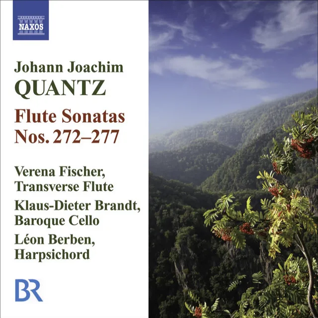 Flute Sonata No. 276 in C Minor, QV 1:18: III. Presto