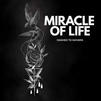 Miracle of Life by Dashed To Shivers