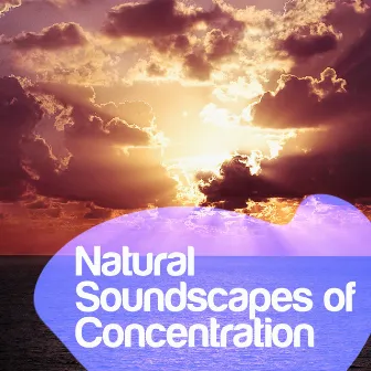 Natural Soundscapes of Concentration by Sleep Songs with Nature Sounds