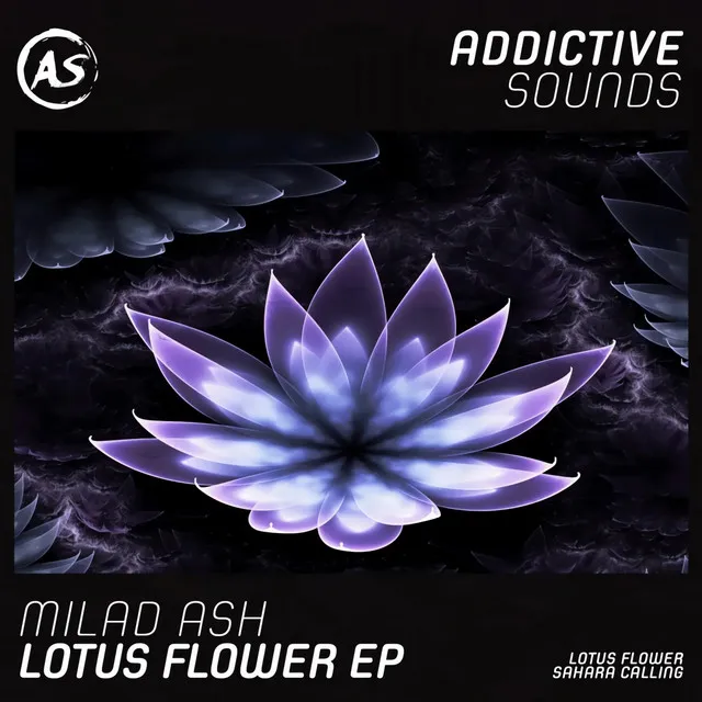 Lotus Flower - Bodzey Remix