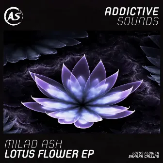 Lotus Flower (Remixes) by Gene Xander