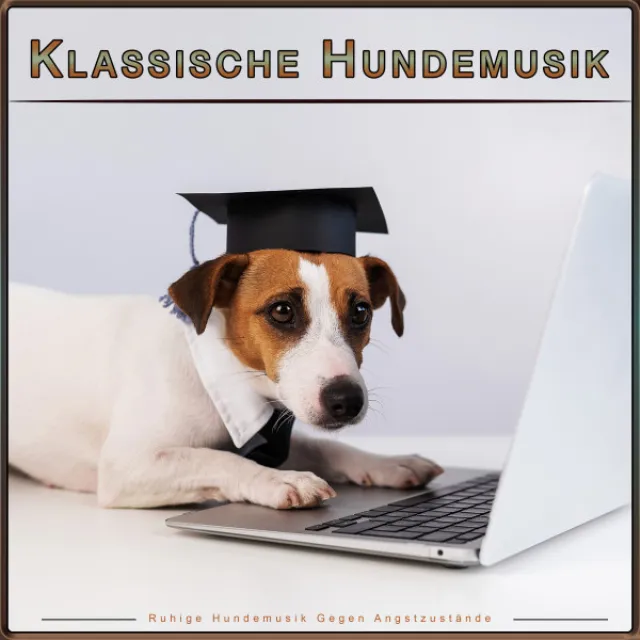 Klassische Hundemusik: Ruhige Hundemusik Gegen Angstzustände